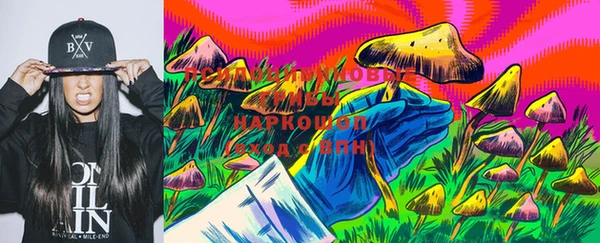 гашик Корсаков