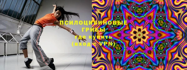 молекула духа Алзамай