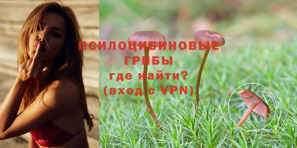 молекула духа Алзамай